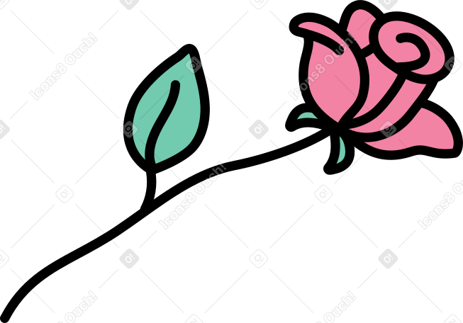 роза в PNG, SVG