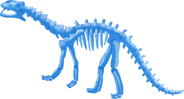 Skeleton of a dinosaur в PNG, SVG