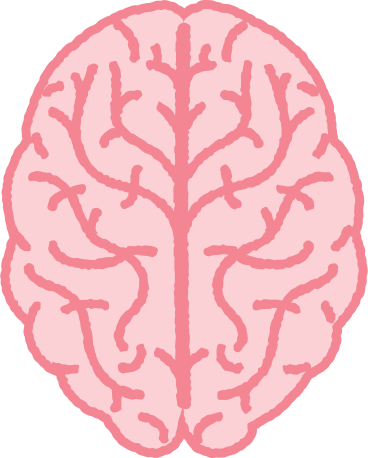 Головной мозг в PNG, SVG