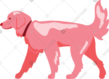 Walking dog PNG, SVG