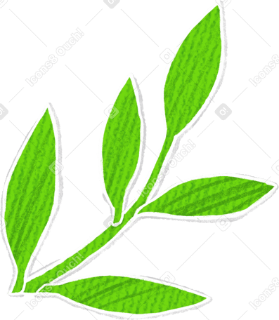twig with green leaves pointing to the right side Illustration in PNG, SVG