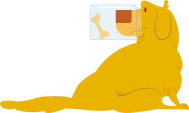 labrador with a jar on his nose PNG, SVG
