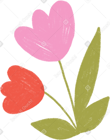 pink and red tulips PNG, SVG