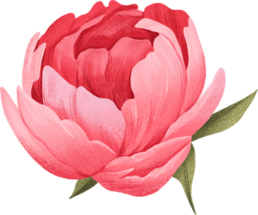 pink peony with leaves PNG, SVG