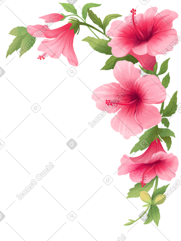 带粉红色芙蓉花的角落布置 PNG, SVG