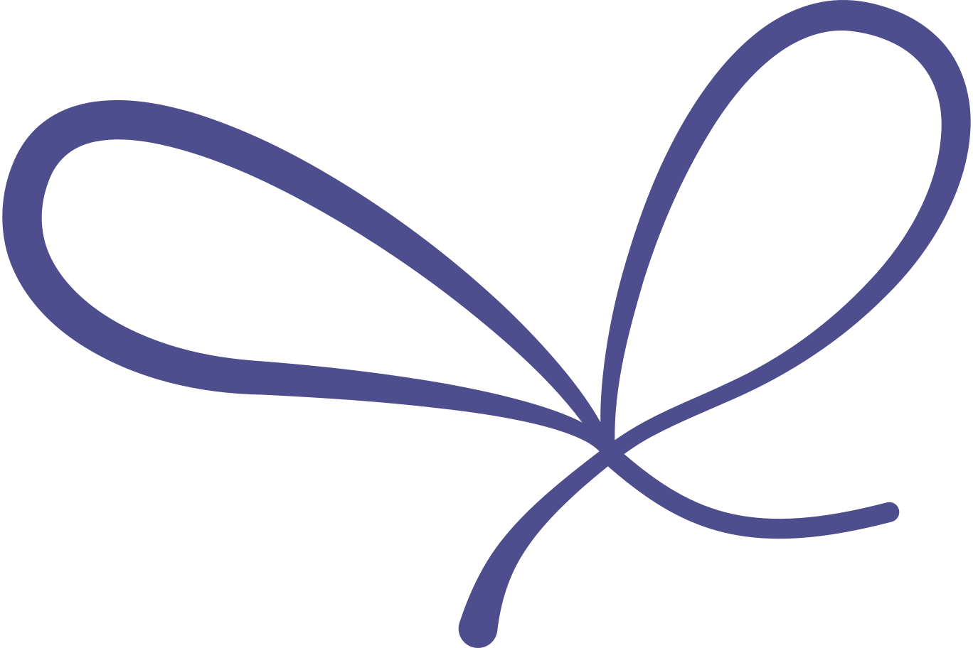 lace-bow Illustration in PNG, SVG
