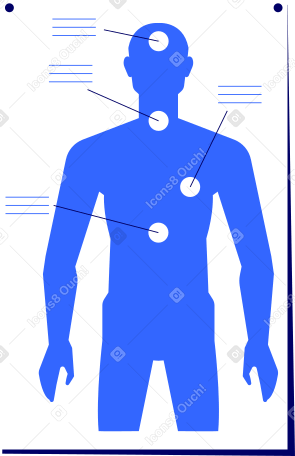medical stand with human body Illustration in PNG, SVG