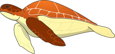 small turtle PNG, SVG
