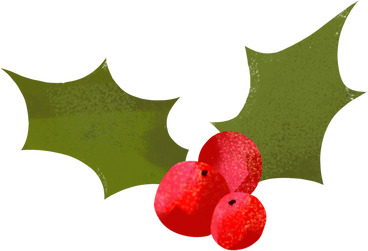 christmas holly plant PNG, SVG