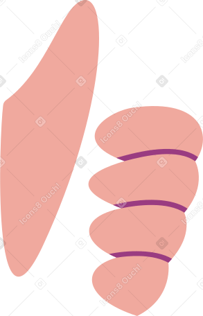 fingers Illustration in PNG, SVG