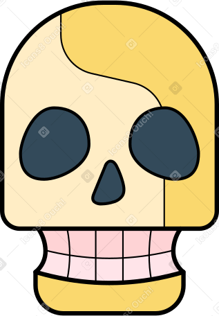 cranio PNG, SVG
