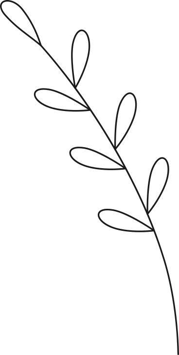 Ветка с листьями в PNG, SVG