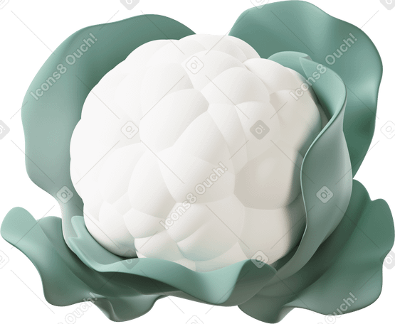3D White cauliflower Illustration in PNG, SVG