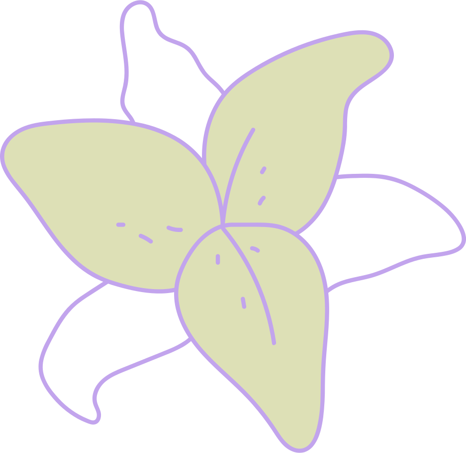 Lily Illustration in PNG, SVG