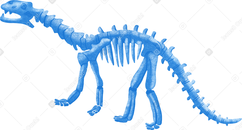 skeleton of a dinosaur PNG、SVG