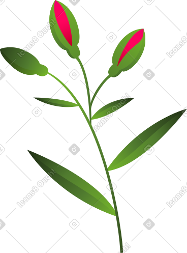 长着三个玫瑰花蕾的小树枝 PNG, SVG