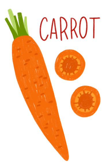Морковь, ломтики моркови и надписи в PNG, SVG
