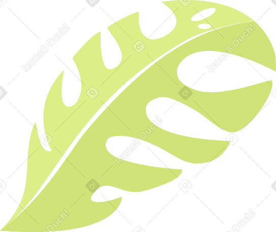 monstera green leave PNG, SVG