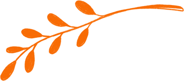 orange sprig with leaves PNG, SVG