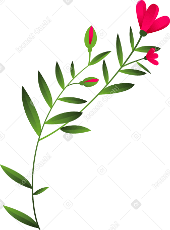 Ramita curva con flores y capullos rosas PNG, SVG