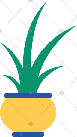 盆栽植物 PNG, SVG