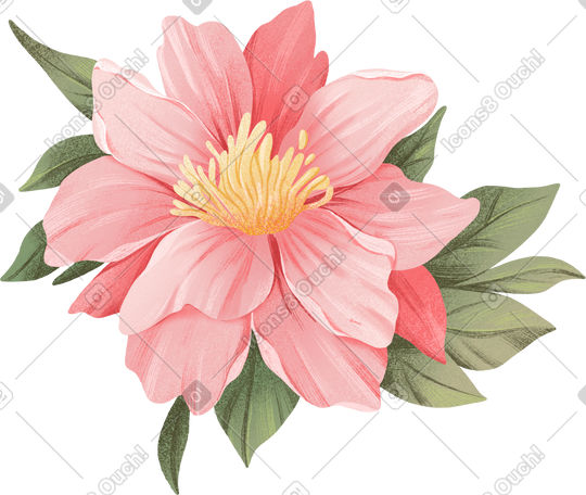 large pink fluffy flower with yellow pistils PNG, SVG