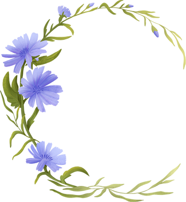 Flowers of blue cornflowers collected in a wreath in a semicircular frame PNG, SVG