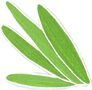 green leaves in bunches PNG, SVG