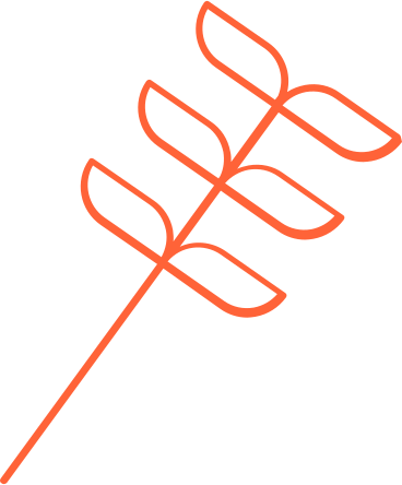 Red outline stem with six leaves в PNG, SVG