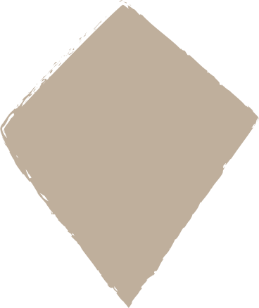 Light grey kite PNG, SVG