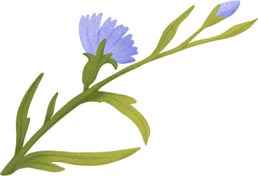 green curved twig with leaves and blue flowers PNG, SVG