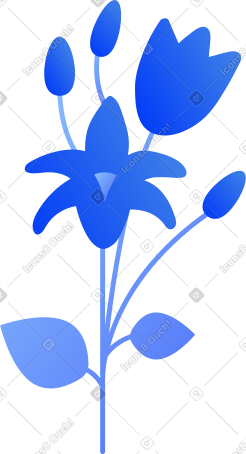 花卉 PNG, SVG