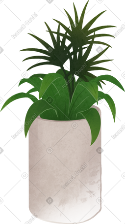 plant in concrete vase PNG, SVG