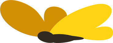 Желтая бабочка в PNG, SVG