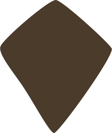 Brown kite shape PNG, SVG