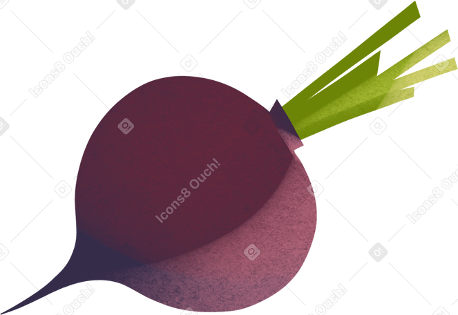 purple beetroot PNG, SVG