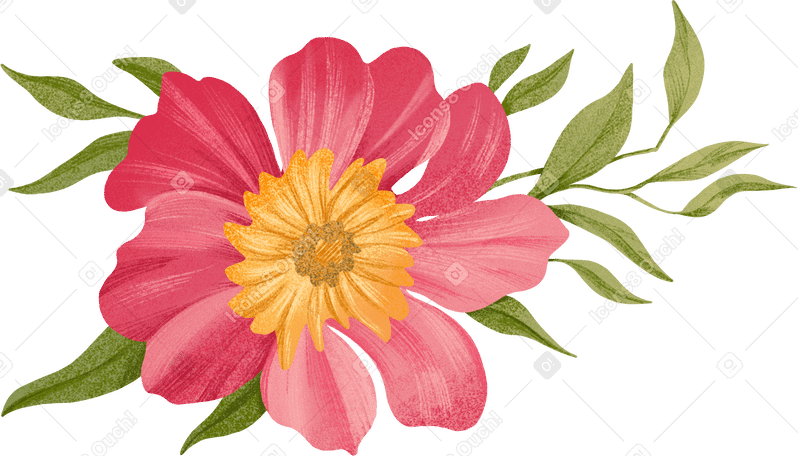 flower with a yellow center and small leaves PNG, SVG