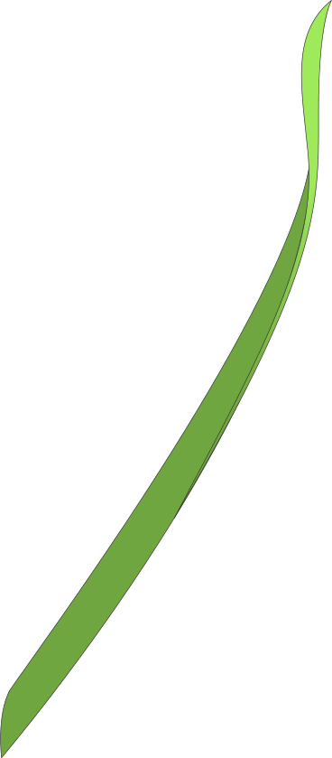 Трава в PNG, SVG