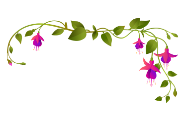 Fuchsia flowers among intertwining branches in a corner arrangement PNG, SVG