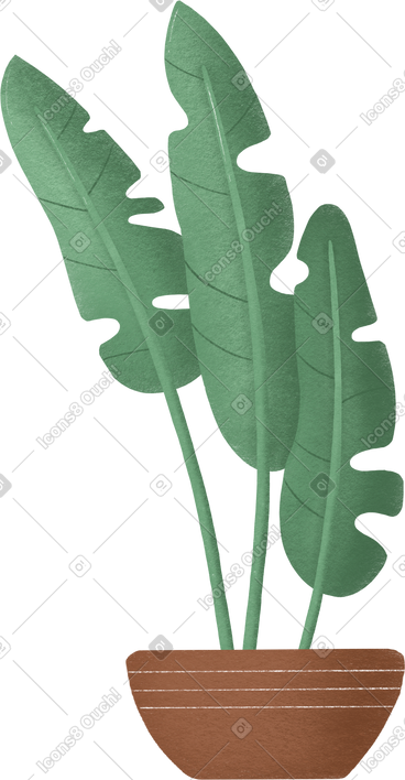 植物 PNG, SVG