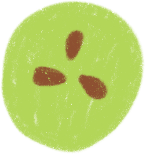 Grape half PNG, SVG