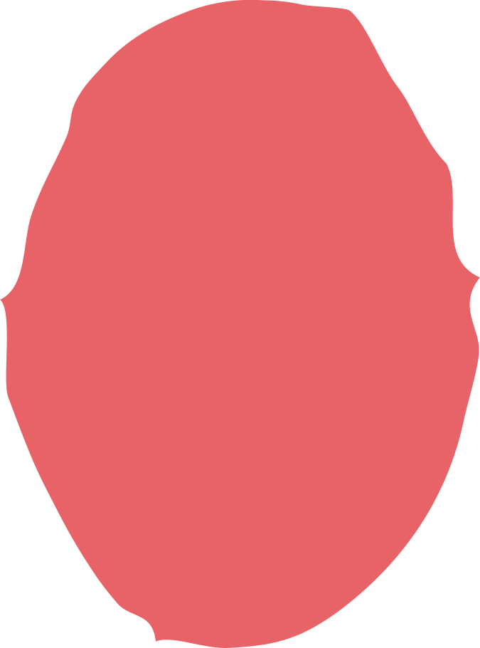 ellipse Illustration in PNG, SVG