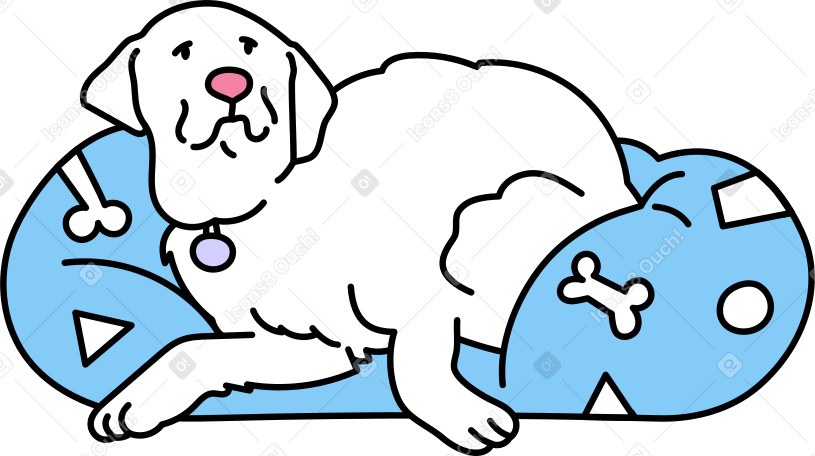 dog lying on the pillow PNG, SVG
