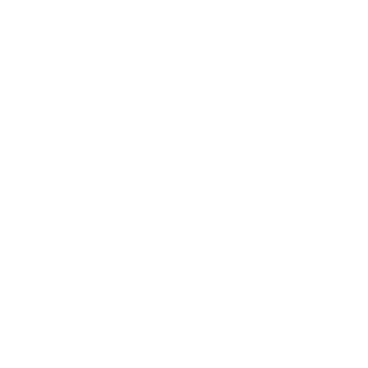 White octagon PNG, SVG