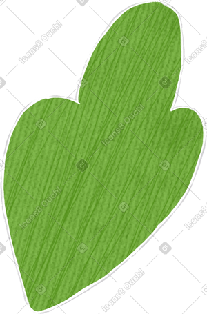 lettuce leaf PNG, SVG