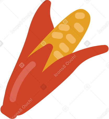 corn Illustration in PNG, SVG