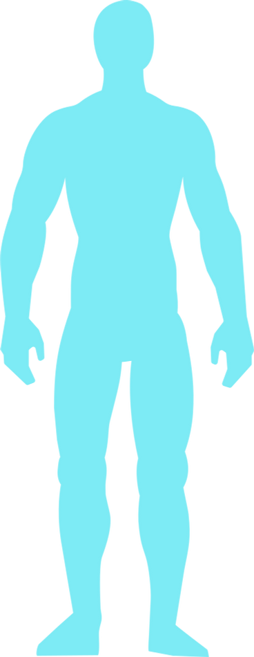 Diagram of the human body PNG、SVG