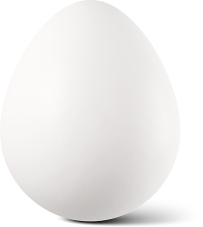 white egg Illustration in PNG, SVG