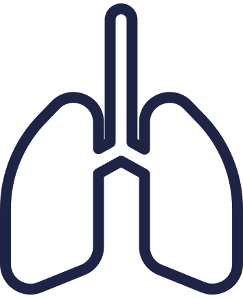 lungs icon PNG, SVG