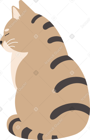 tabby cat PNG, SVG